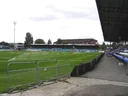 Moss Rose