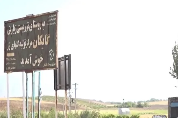 قصه گُلکاران «گایکان»؛ از حیاط خانه تا بازارهای آن‌سوی مرز