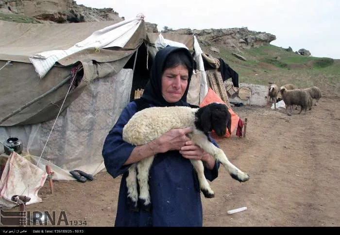 تأمین آب، سوخت و نهاده‌های دامی؛ مطالبات عشایر کرمانشاه در آستانه کوچ پاییزه