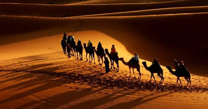 چرا امام حسین علیهالسلام زنان و کودکان را همراه خود به کربلا آوردند؟