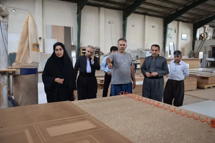 پیگیری میدانی فرماندار روانسر برای تسریع در اجرای پروژه‌های عمرانی و رونق تولید