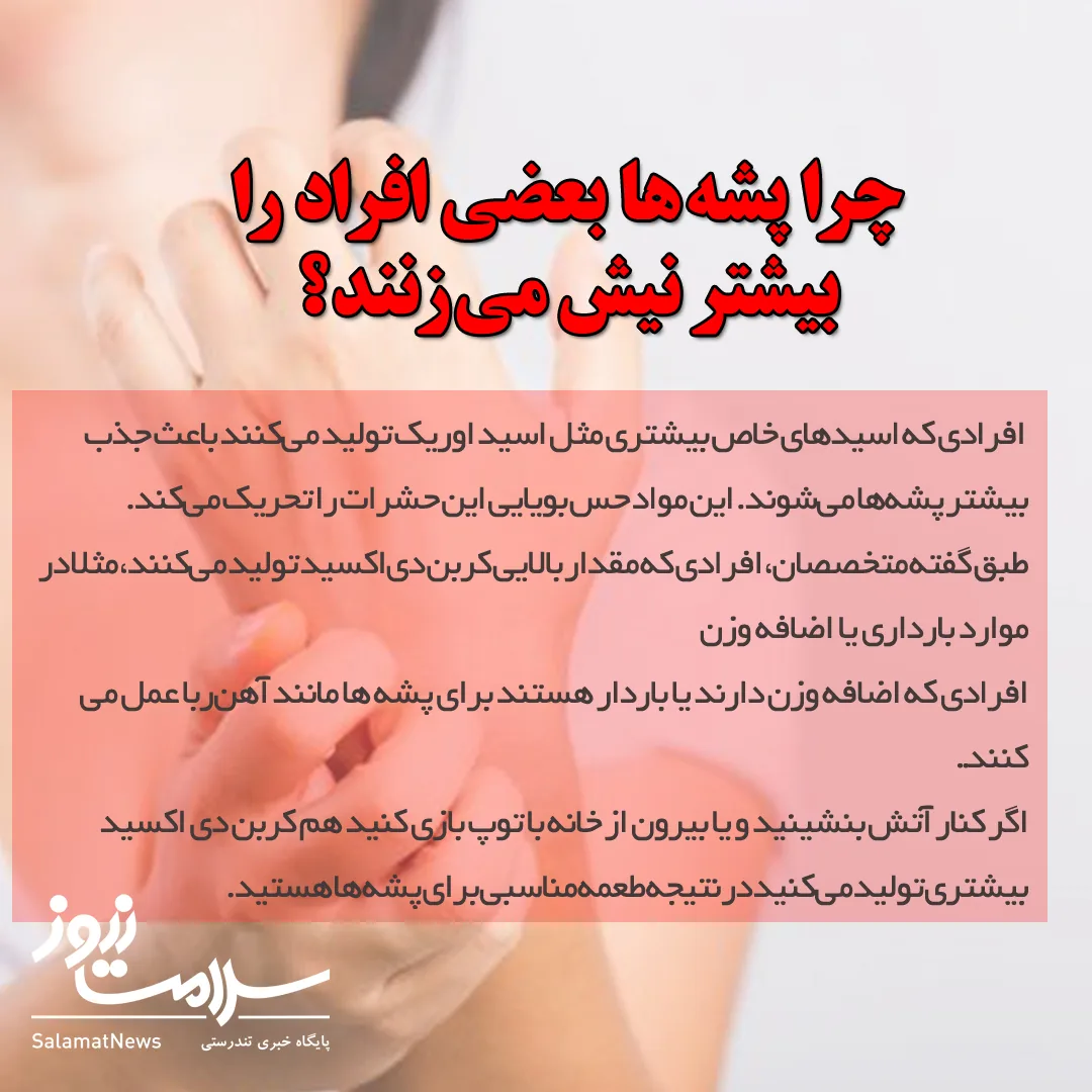 با مصرف این ویتامین‌ از نیش پشه در تابستان در امان باشید