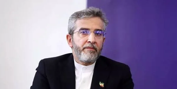 باقری کنی: صیانت از استقلال و هویت ملی از مهمترین جلوههای اساسی رویکرد رهبری شهید است