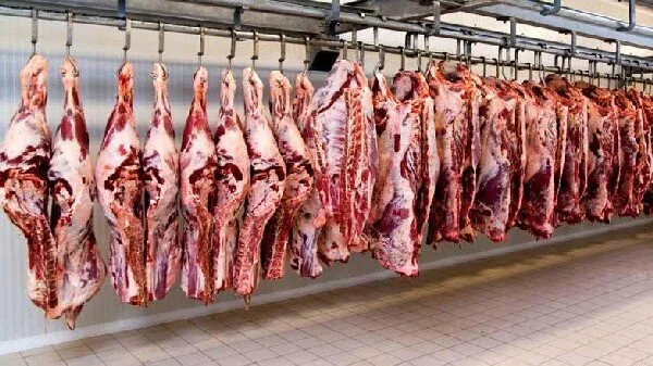عرضه ۴۱ هزار تن گوشت قرمز در کشتارگاههای رسمی کشور