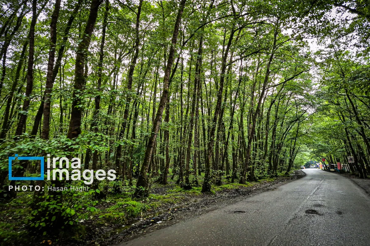 برخورد قضایی با عاملان احداث جاده غیرمجاز در اراضی ملی بندپی بابل