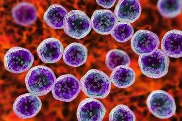 روشی تازه برای ساختن سلولهای ضدسرطان مستقیما داخل بدن، بدون نیاز به آزمایشگاه