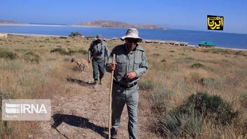 حفاظت از محیط زیست با نصف ظرفیت انسانی!