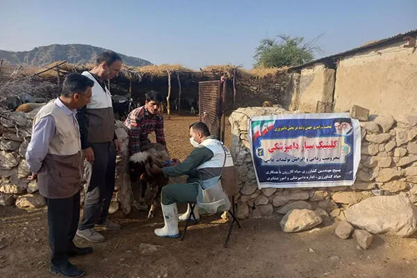 واکسیناسیون رایگان ۱۴ هزار رأس دام در رزمایش جهادی کازرون