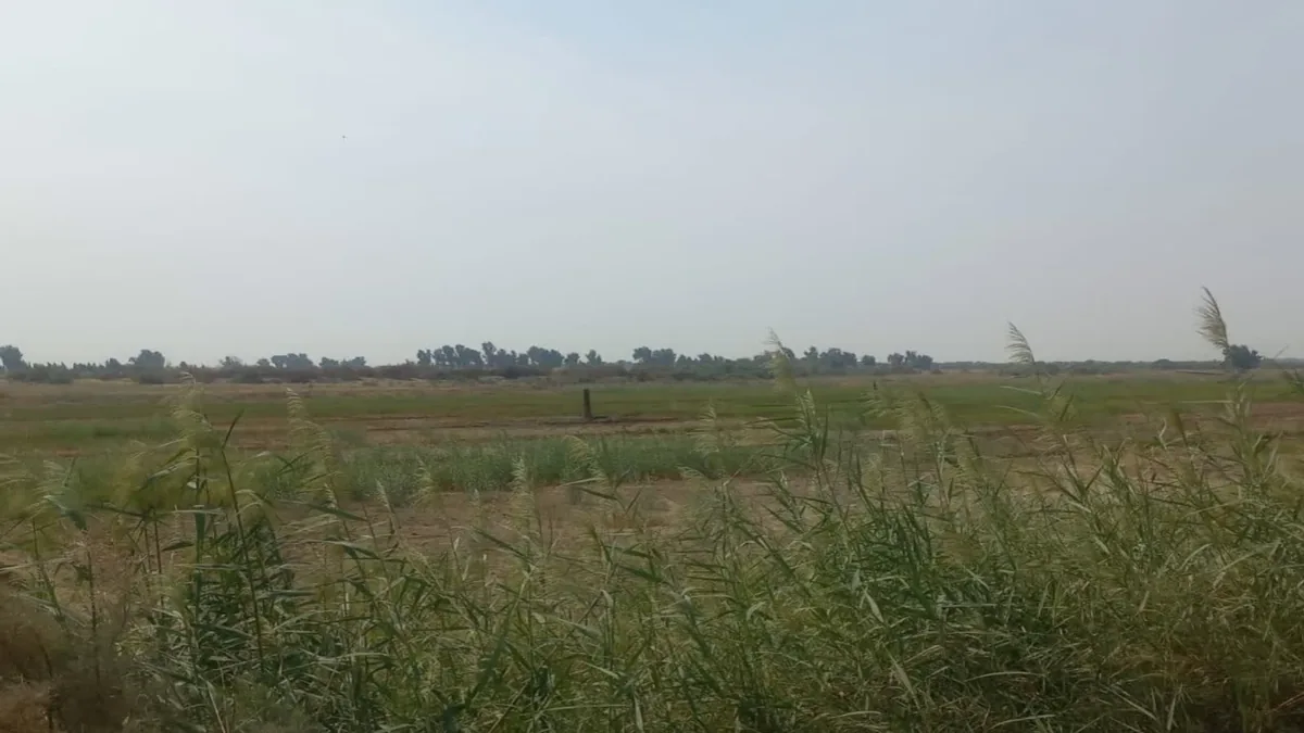 رفع تصرف ۱۶ هکتار از اراضی ملی و منابع طبیعی در اهواز