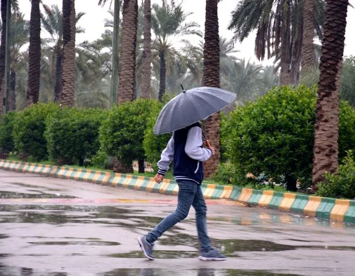 نوید حیات بر پهنای دشت‌های تشنه جنوب کرمان؛ دومین باران پاییزی عنبرآباد را طراوت بخشید