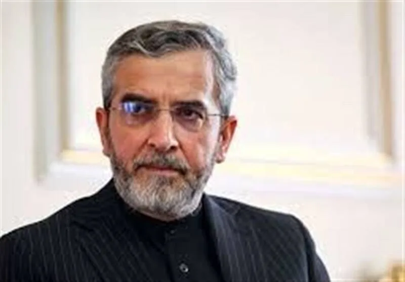 باقری کنی: آمریکا در دستیابی به اهداف خود علیه ایران ناکام ماند