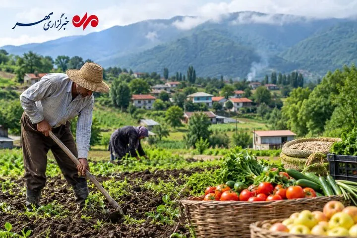 کشاورزی گیلان در دوراهی سنت و فناوری؛ نسل چهارم از راه می‌رسد؟
