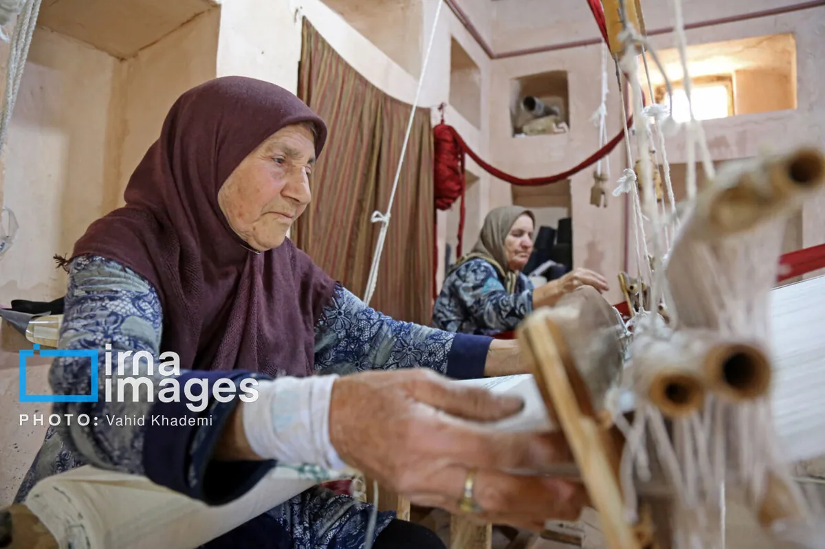 پرداخت ۶۲۲ میلیارد ریال تسهیلات مشاغل خانگی کشاورزی در آذربایجانغربی