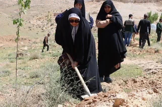 آغاز غرس ۱۱۰ هزار اصله درخت به یاد شهدا  در البرز