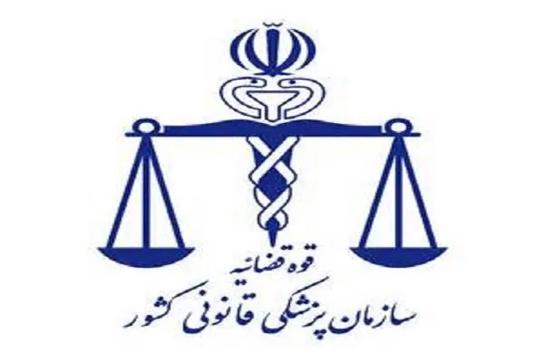 بهره برداری از نرمافزار جدید پزشکی قانونی کشور تا دو ماه آینده