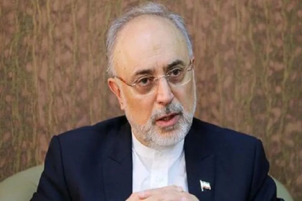 صالحی: اگر مبنا را بر حداقل عقلانیت قرار دهیم، بعید میدانم جنگ سومی آغاز شود