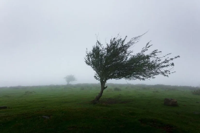تندباد و رگبار باران در راه اردبیل است