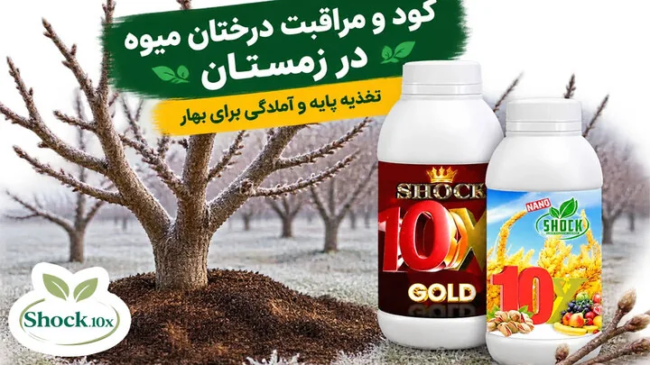 بهترین کود برای درختان میوه در چهار فصل؛ راهنمای مصرف کود شوک ۱۰x