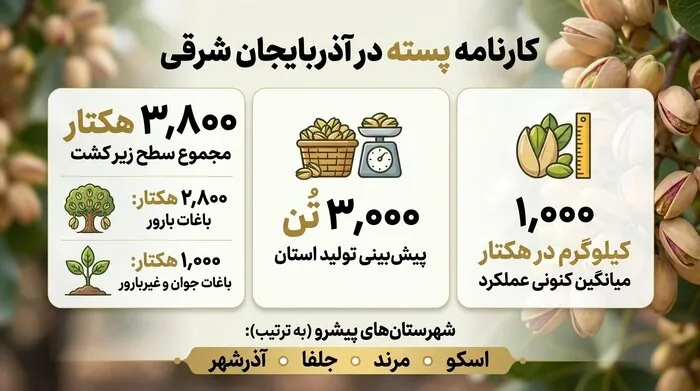 فیلم| پسته؛ جایگزین استراتژیک کشت‌های آب‌بر در آذربایجان‌شرقی