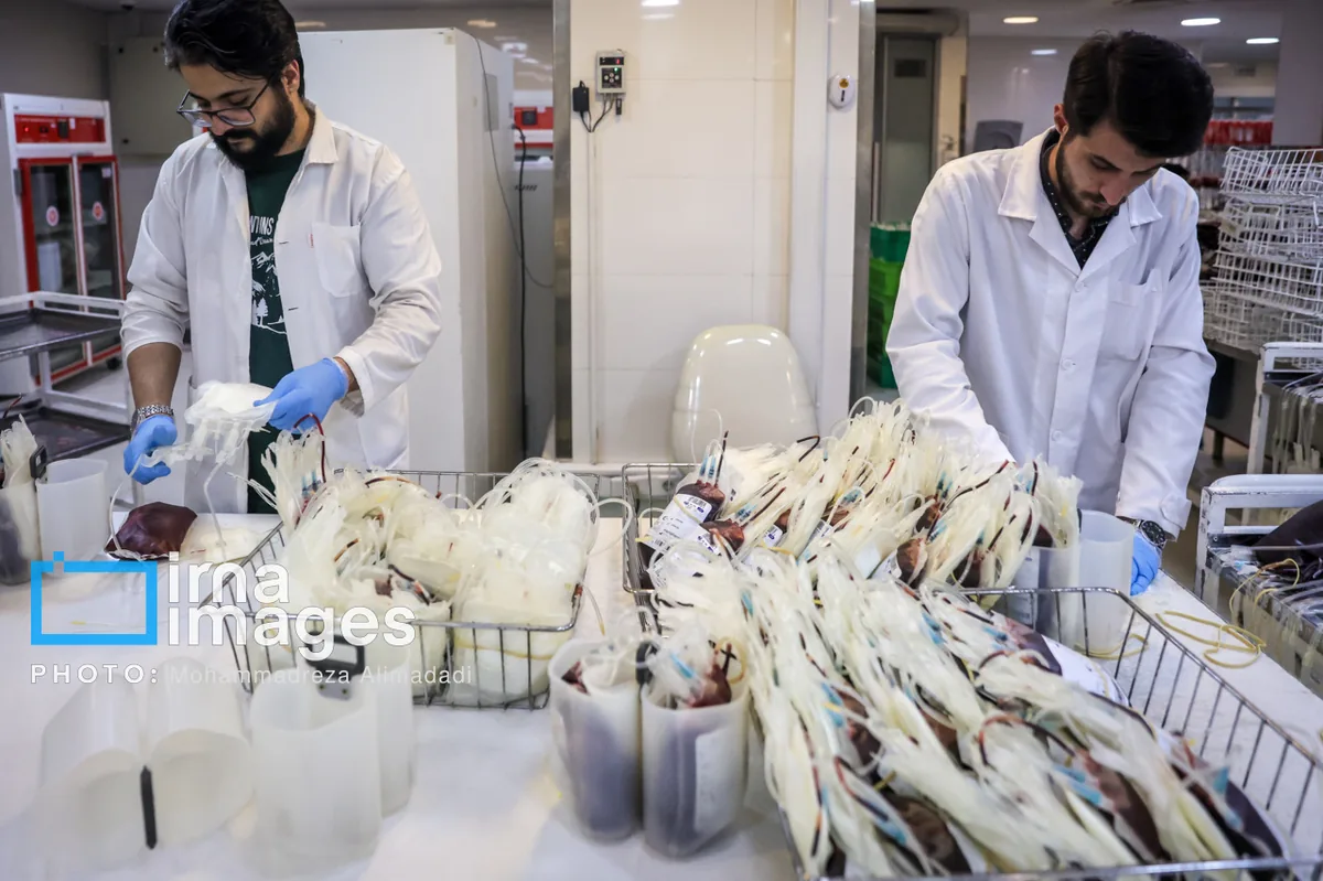 پویش ملی اهدای خون «هم سرخ هم سفید» با مشارکت پرستاران برگزار میشود