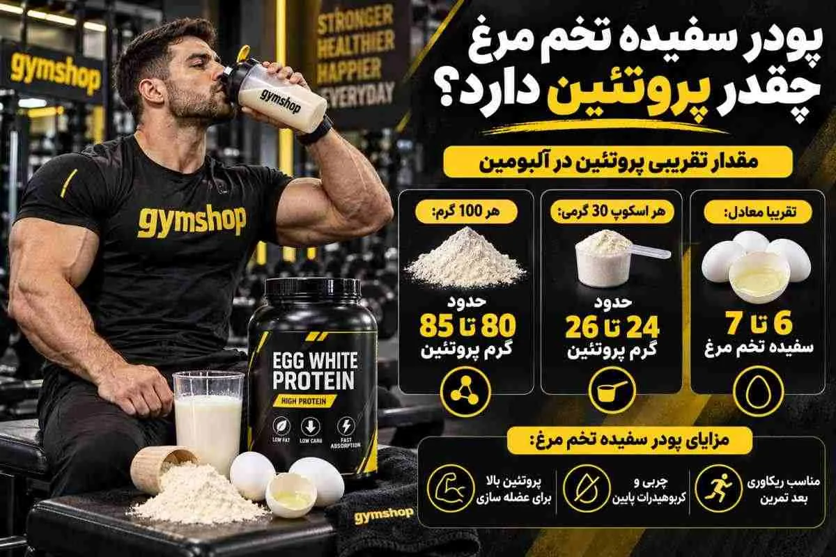 پودر سفیده تخم مرغ چقدر پروتئین دارد؟-یک اسکوپ پودر سفیده تخم مرغ چقدر پروتئین دارد؟-جیم شاپ فرئشگاه مکمل ورزشی