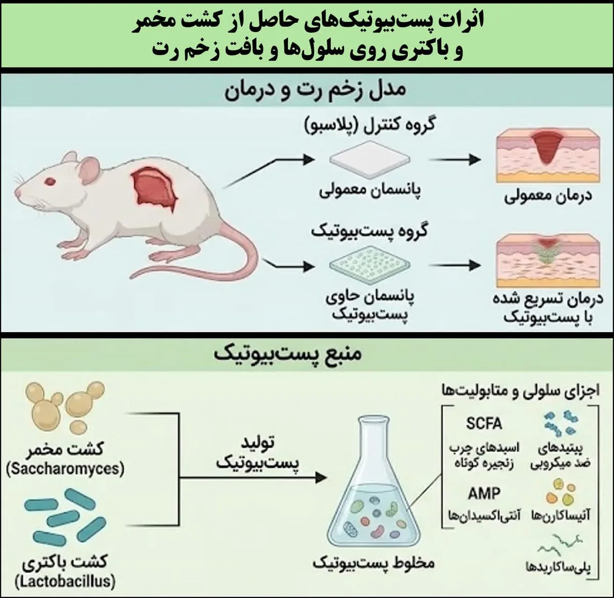 اخبار کوتاه دانشگاهی هجدهم مهرماه