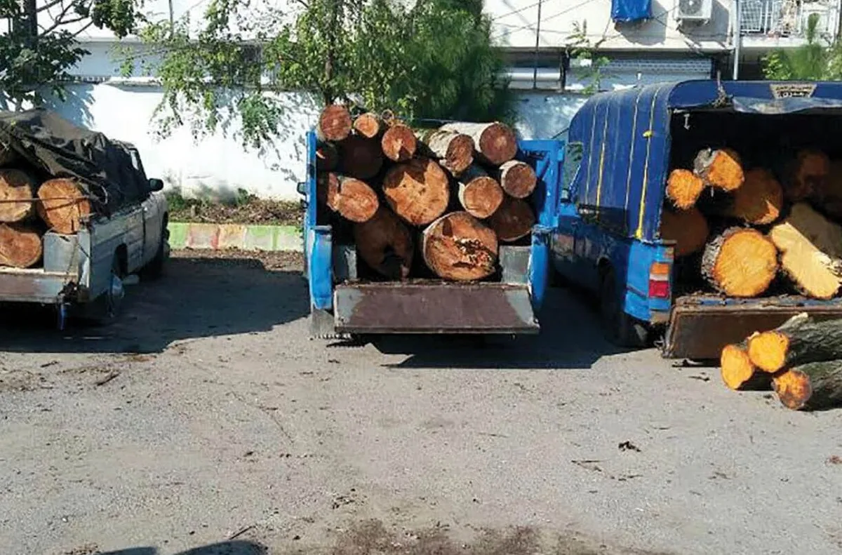 فرمانده جدید یگان حفاظت سازمان منابع طبیعی و آبخیزداری کشور خبر داد: تشکیل ۳۰ هزار پرونده مرتبط با قاچاق چوب در یک سال گذشته