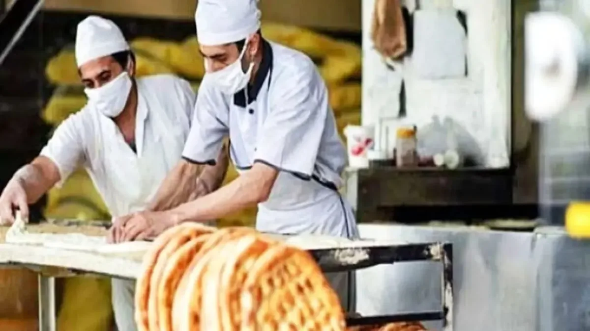خبر مهم درباره قیمت نان / معادله جدید خرید گندم نان را گران میکند؟