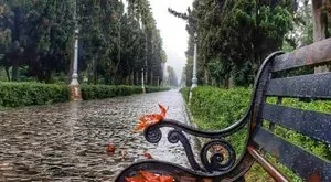 پوشش گیاهی باغ‌بلوار تاریخی معلم رامسر، میراثی آسیب‌پذیر و نیازمند حفاظت تخصصی