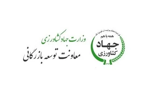 ثبت سفارش واردات دانه سبز قهوه از امروز آغاز شد
