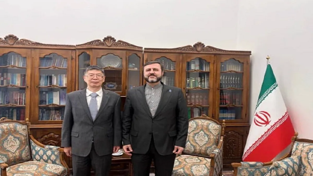 غریبآبادی: ایران و چین هر دو بر لزوم توسعه همکاریهای جنوب جهانی تاکید دارند