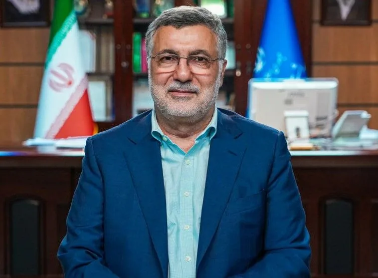 وزیر بهداشت: خانههای بهداشت استیجاری و کانکسی جمعآوری میشوند