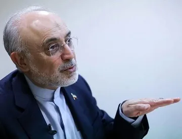 صالحی: چاقویی که ظاهرا آمریکا برای ایران تیز می‌کند در حقیقت برای چین و روسیه است ولی اگر خدای ناکرده ....