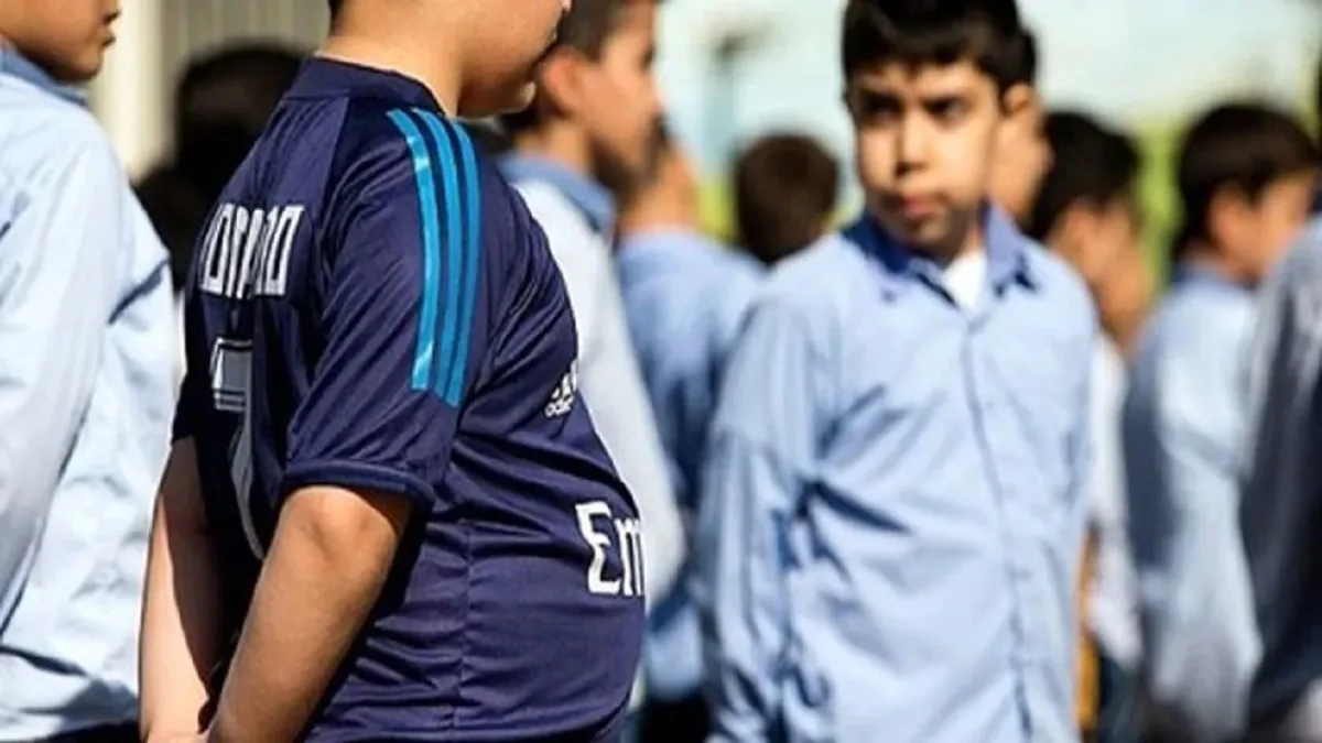 آموزش و پرورش: صدور پلاک برای دانشآموزان صحت ندارد/ با شایعه سازان برخورد می کنیم