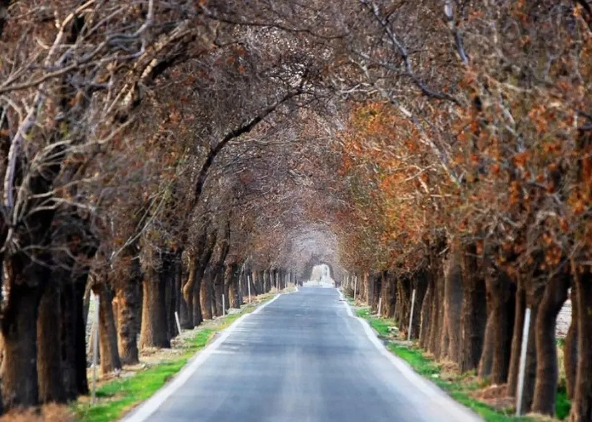 کاهش نسبی دمای نوار شمالی کشور طی روزهای آتی/ وزش باد و رگبار در راه است