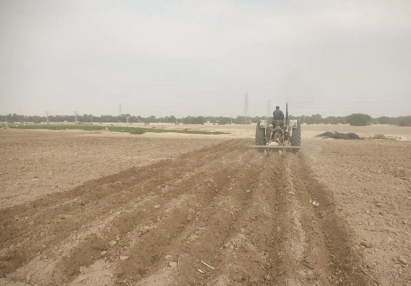 آغاز کشت گندم و جو در ورامین