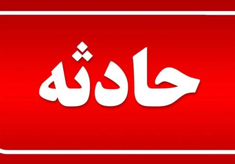 آتشسوزی چند درخت در حوالی ورزشگاه انقلاب/ بیاحتیاطی کارگران ساختمانی سبب آتش سوزی شد
