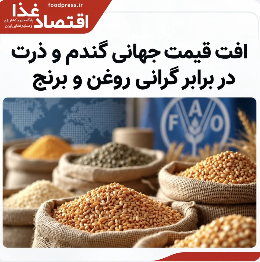 افت قیمت جهانی گندم و ذرت در برابر گرانی روغن و برنج
