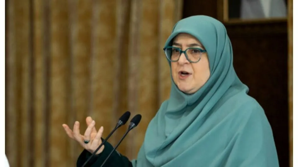 ادعای سخنگوی دولت درباره پروژه ایران هراسی افسانه ای