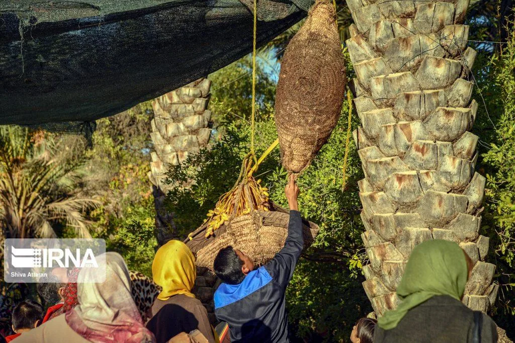 جشنواره انار و خرمای خاوران