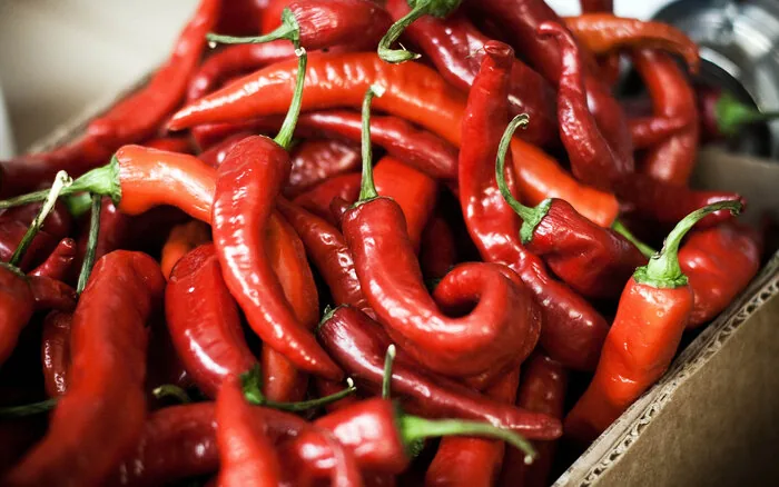 فرومد در دوراهی ماندن و مهاجرت؛ از بحران آب تا فرصت‌های توسعه گردشگری و اشتغال