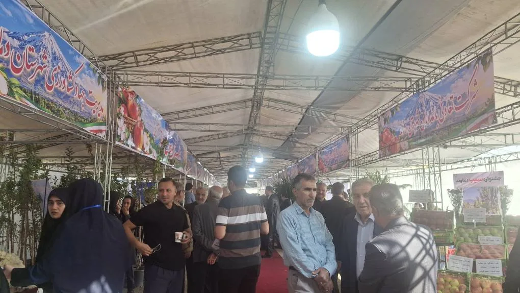 چهارمین جشنواره سیب دماوند با حضور وزیر جهاد کشاورزی آغاز شد