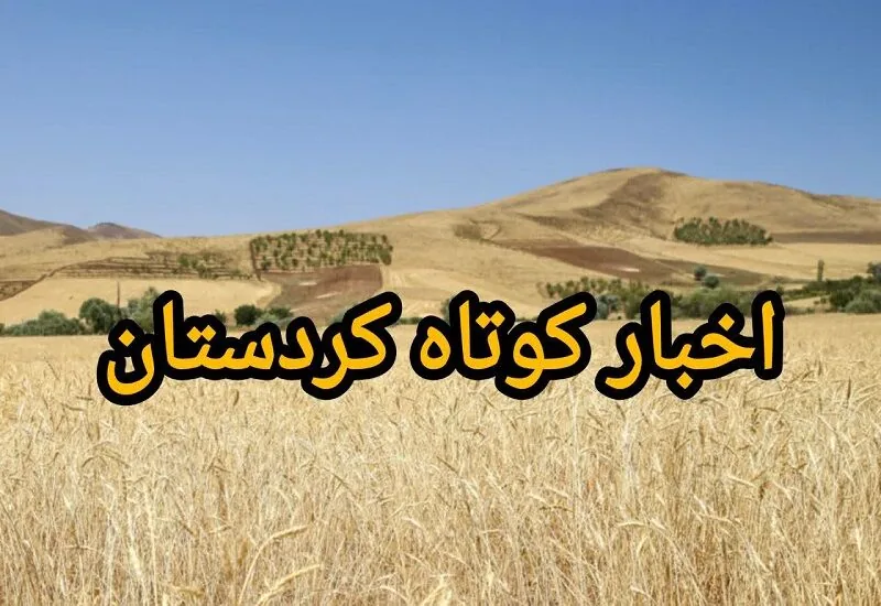 اخبار کوتاه|جهاد کشاورزی کردستان آموزش و پایداری تولید را دنبال میکند