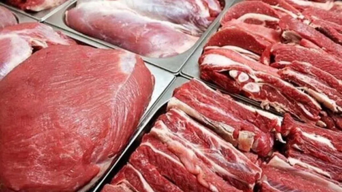 پرداخت یارانه ۳۰۰ هزار تومانی به ازای واردات هر کیلو گوشت به دامداران خارجی