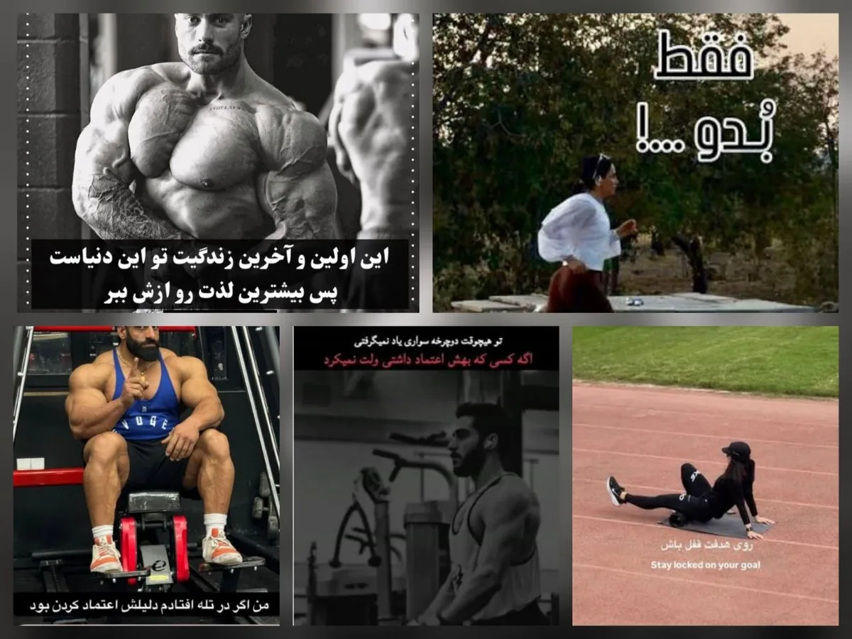 دمبل‌های سنگین، اندیشه‌های سبک؛ وقتی فیلسوفان تردمیل در اینستاگرام به نجات بشریت می‌آیند! 