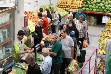 از اجارههای میلیاردی تا دزدی اجناس؛ روایت مدیران میوهوترهبارها / «اجاره مرکز ترهبارمان از ۸۰۰ به ۹۰۰ میلیون تومان رسید»/ «دزدیها زیاد شده»