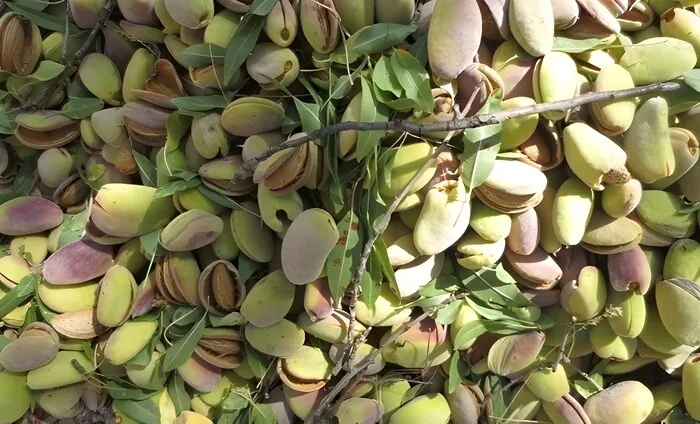 اخبار کوتاه از غرب اصفهان