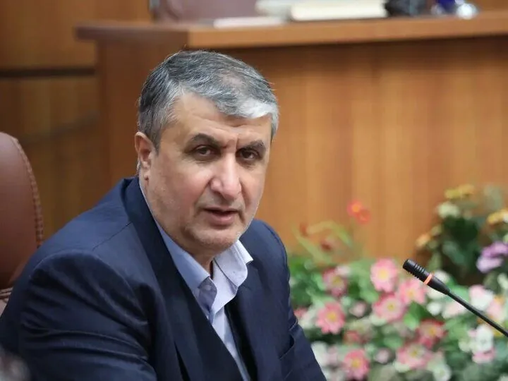 رئیس سازمان انرژی اتمی ایران: استاندارد باید به فرهنگ سازمانی تبدیل شود
