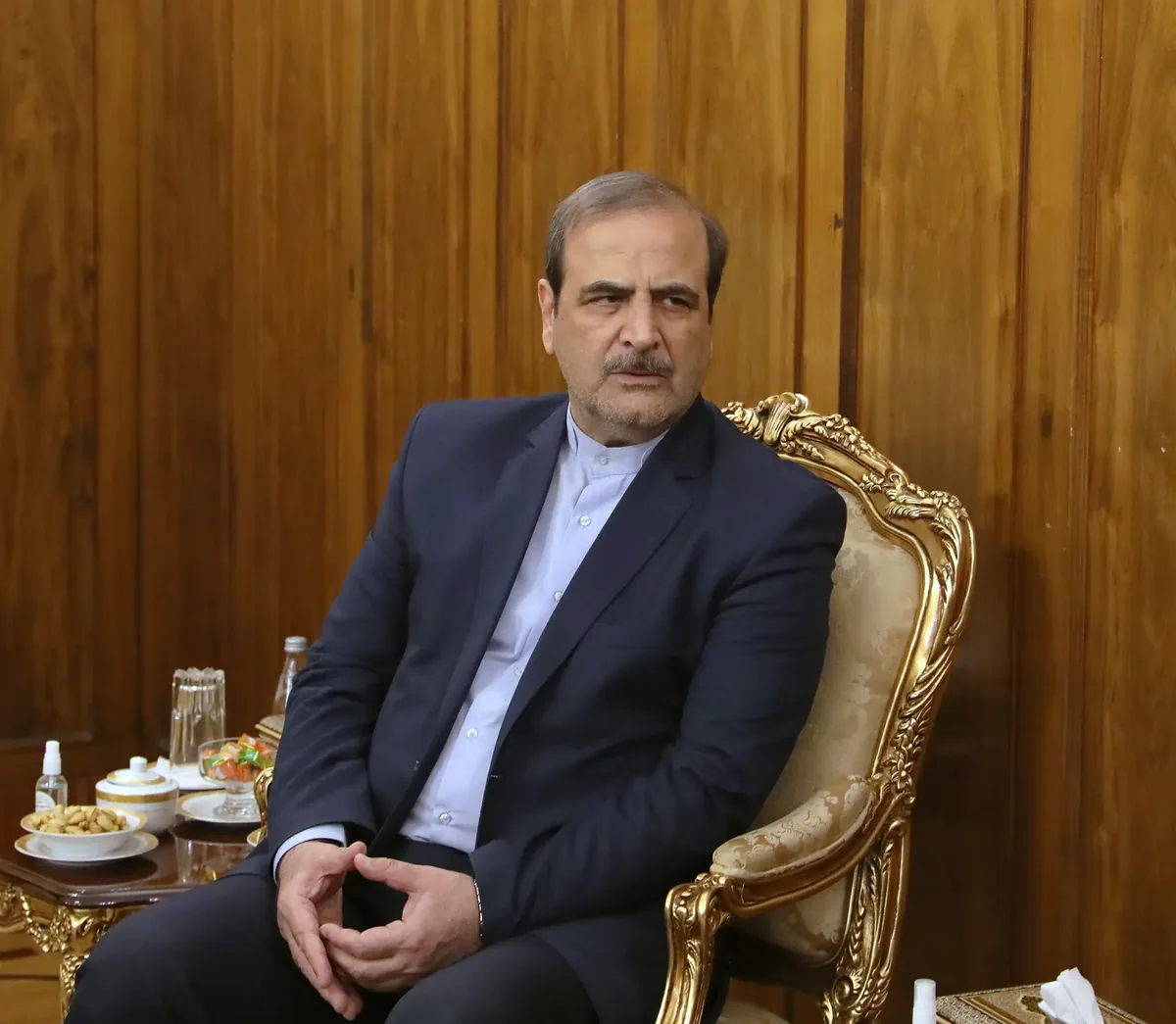 باید مراقب باشیم روابطمان با کشورهای عربی بدتر نشود/ ورود مصر به جنگ با انصارالله یمن را نباید جدی تلقی کرد/ طرح روسیه برای امنیت خلیج فارس قابل تحقق نیست