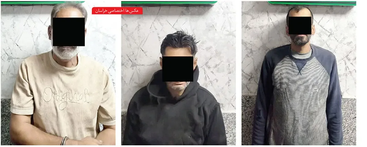 عاملان دستبرد به منازل در تور پلیس!